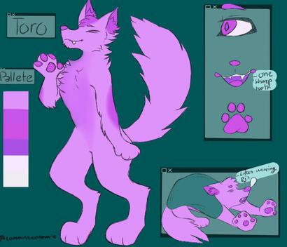 Toro Refrence Sheet